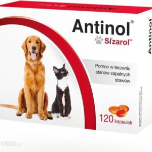 Biovico Antinol Sizarol 30tabl