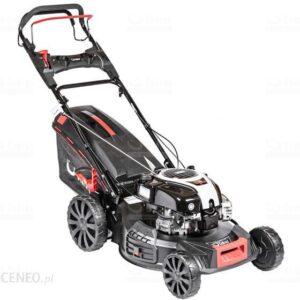 Cedrus Cedks53S-B